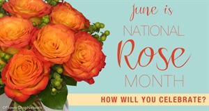 National R.O.S.E. Month - Should I go into the National Guard or the U.S. Marines?