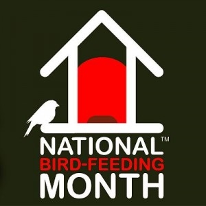 Spiritually speaking, did you know that it is National Bird Feeding Month?