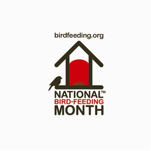 National Bird Feeding Month - Spiritually speaking, did you know that it is National Bird Feeding Month?