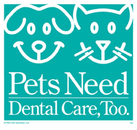 Pet Dental Health Month - Catchy slogan for pet dental month!?!?!?