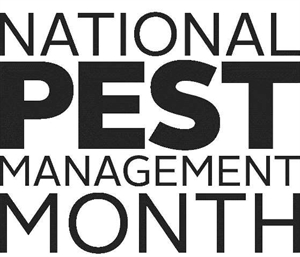 National Pest Management Month - What's the deal with bed bugs? How do you know if you have them?