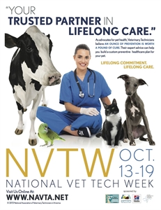 Veterinary Technicians Week - veterinary technician salary?