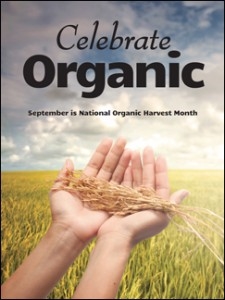 National Organic Harvest Month - What does organic mean?