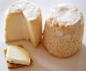 National Goat Cheese Month - Different types of food made with different properties?