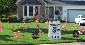 Pink Flamingo Day - Pink flamingo ecstasy. dangerous?