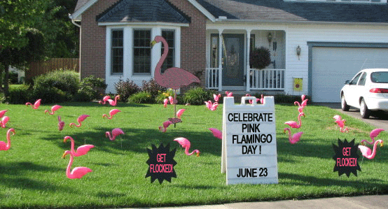 Pink flamingo ecstasy. dangerous?