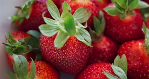 Pick Strawberries Day - Strawberry recipes.?