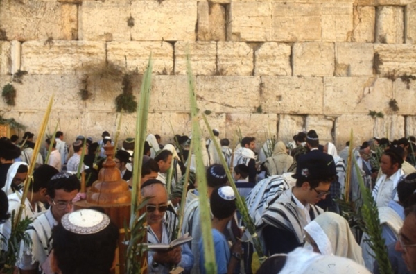 What is the meaning of Sukkot as you understand it?