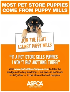 No Pet Store Puppies Day - Pet Store Crates & Puppies?