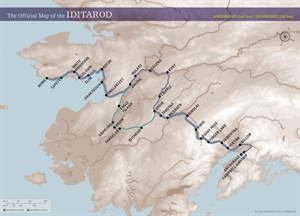 Iditarod Race - What is the arrangement of sled dogs in and Iditarod race?