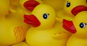 Rubber Duckie Day - Does a rubber-duckie…?