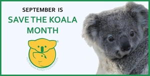 Save The Koala Month - Would you please help save Australia's Koalas?