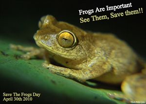 Save The Frogs Day - How do I save my ADF?