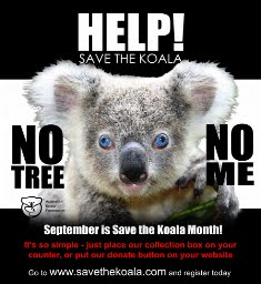 Is a koala a rare webkinz?