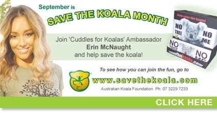 Would you please help save Australia’s Koalas?