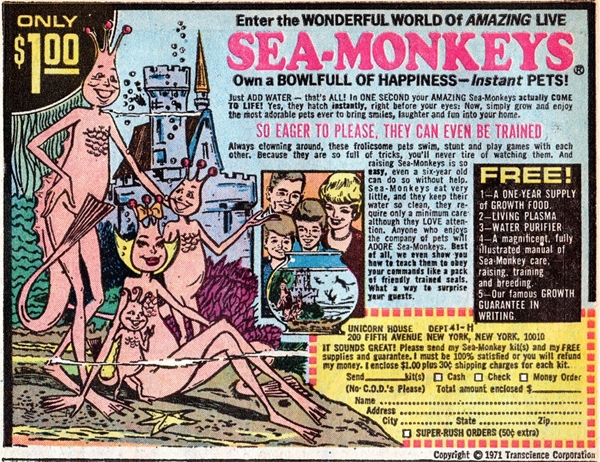 What are sea monkeys ????