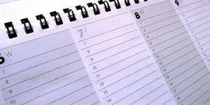 Second Half of the Year Day - When is the second half of 2012?