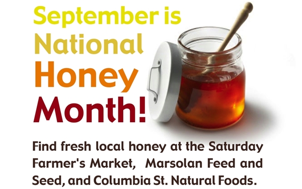 is National Honey Month!
