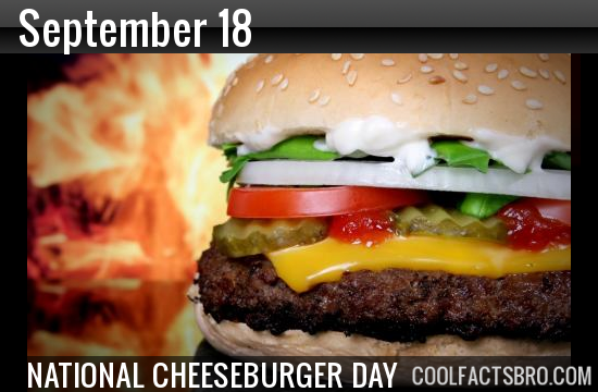 What fraction of meals a day are hamburgers in America?