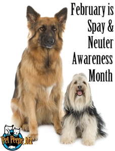 Spay Awareness Month - spaying dogs at a young age?