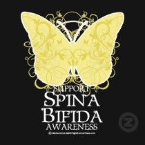 National Spina Bifida Awareness Month - Can you read over this before its posted?