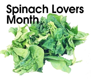 Spinach Lovers Month - My boy bunny got the chop 9 month ago but.?