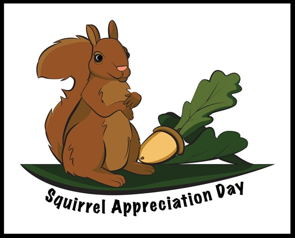 Today is Squirrel Appreciation Day. Anyone appreciated a Squirrel today?