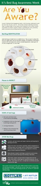Blog - St. Louis Pest Pros Recognize Bed Bug Awareness Week