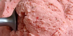Strawberry Ice Cream Day - Can puppies eat strawberry ice cream?