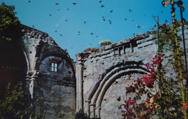 Do swallows return to San Juan Mission in Capistrano