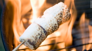 National Toasted Marshmallow Day - Did you know that tomorrow is also National Marshmallow Toasting Day?