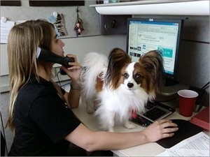Take Your Dog To Work Day - Crating dogs all day?