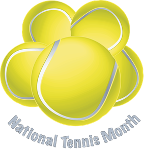 Tennis Month - I need to learn to play tennis in 3 months.?
