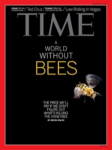 World Honey Bee Day - Will the world end by 2012?