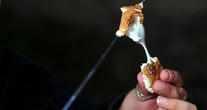 Toasted Marshmallow Day - POLL: Happy National Toasted Marshmallow Day!!!!!!!!?