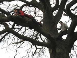 International Tree Climbing Days - What holidays are on August 3rd?