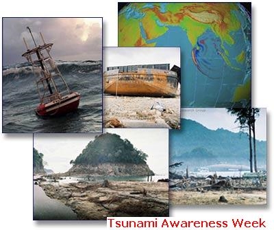i need help in preparing a project on generating awareness on disaster management ??plz help?