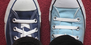 Two Different Colored Shoes Day - What does my dream about recieving two different colored shoes mean?