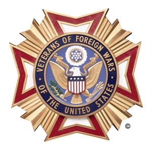 VFW Day - What are your big plans for Veterans Day?
