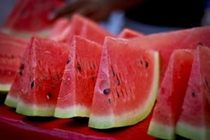 Watermelon Day - Is it horrible to eat watermelon only all day?