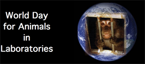 World Day for Animals in Laboratories - Does l'Oreal test in animals ***10 pts best answer***?