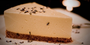 White Chocolate Cheesecake Day - I need a recipe for white chocolate and ginger cheesecake - anyone help?