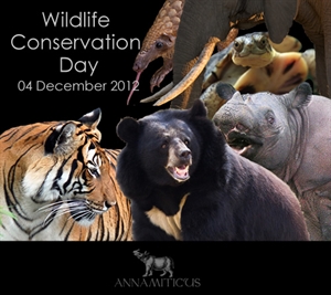 World Wildlife Conservation Day - Wildlife conservation jobs in Africa?