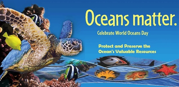 World Ocean Day?