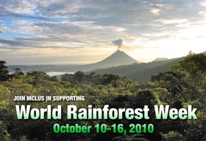 World Rainforest Week - Where's the best place to eat in Disney World?