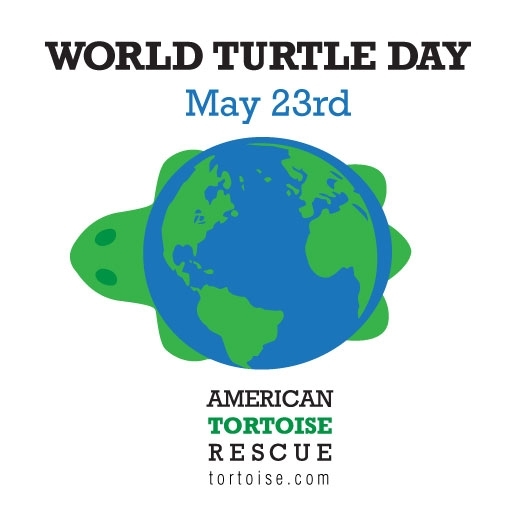 What is WORLD TURTLE DAY?