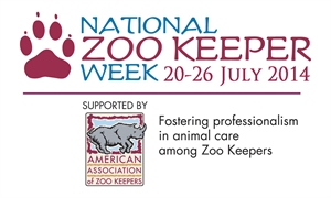 National Zoo Keeper Week - an average zoo keepers salary?